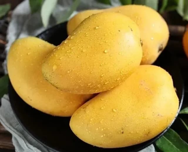 Owner-approved Banginapalli mangoes arranged in a bowl