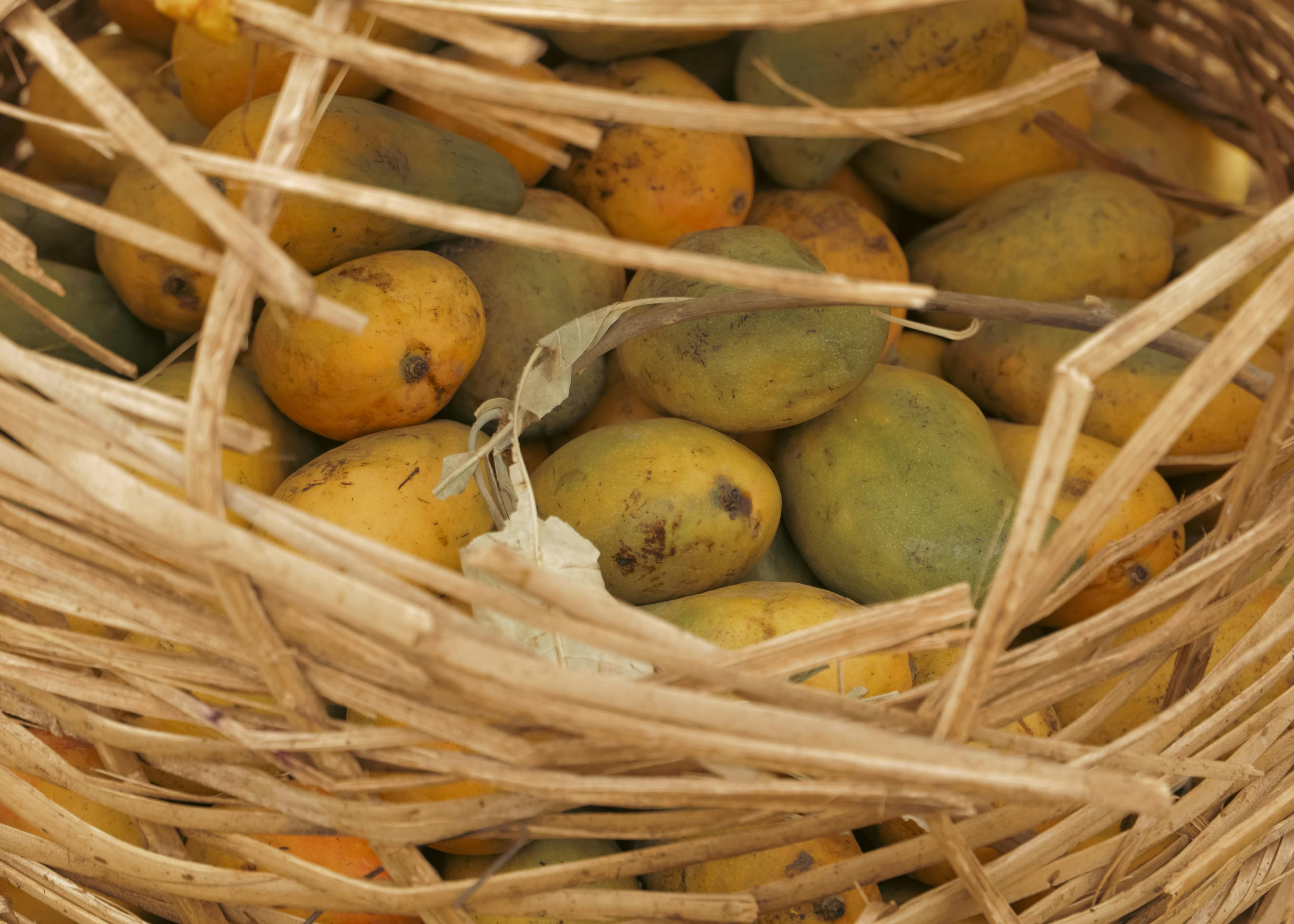 Ripe mangoes arranged in a rustic basket